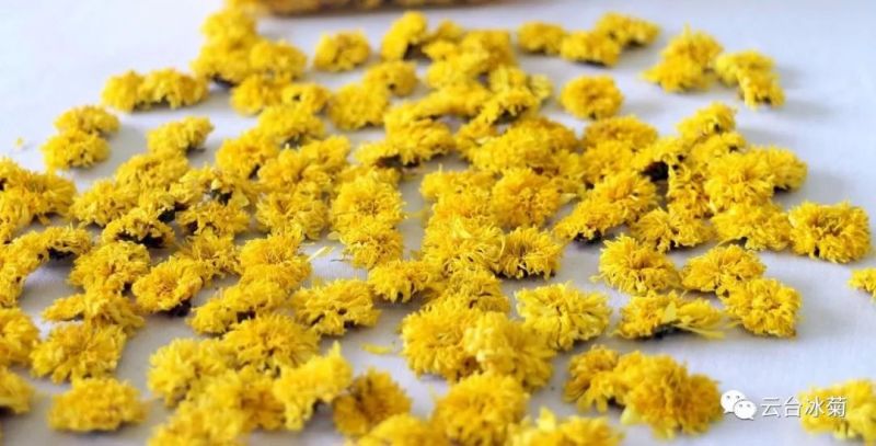 2018，種下希望，靜待花開！